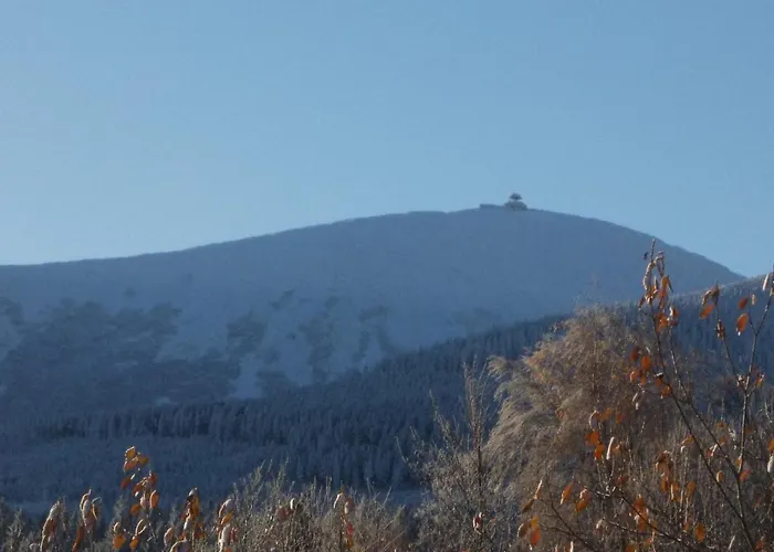 Oda ve Kahvaltı Sadyba Spa 3*